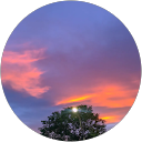 KRISHNA SRIVASTAVA profile picture